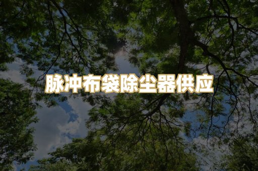 脉冲布袋除尘器供应